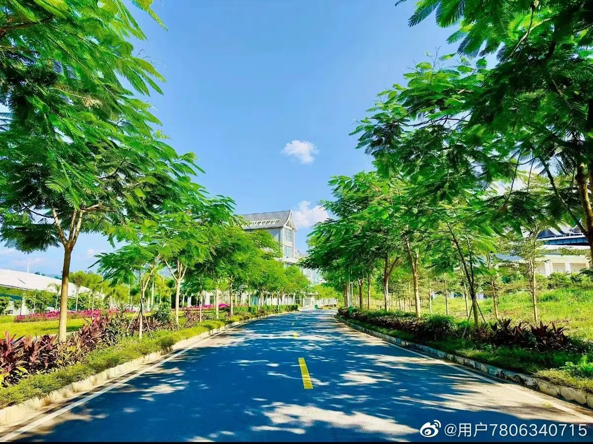 共建绿美校园提升育人环境西双版纳职业技术学院积极推进绿美校园建设